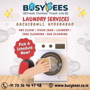 difference between Laundry and Dry Cleaning